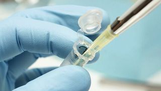 Abb. 1: Exaktes Pipettieren ist entscheidend für richtige und reproduzierbare Analysenergebnisse. (© Digital_Zombie - stock.adobe.com)