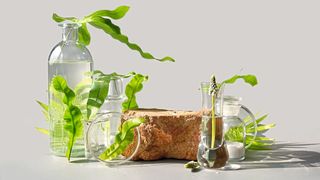 1 Nachhaltigkeit spielt auch im Labor eine immer größere Rolle (Symbolbild). (Bild: ©tilialucida - stock.adobe.com)