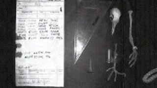 Bei der Renovierung seines Hauses in Surrey hat der Brite David Martin das Skelett einer Brieftaube entdeckt, an das auf dünnem Papier der Nachrichtencode gebunden war. Es wird vermutet, dass die Botschaft um den 6. Juni 1944 herum verschickt wurde, dem Datum der Invasion der Alliierten in der Normandie. Für diesen Tag hatte der britische Premier Winston Churchill strengste Funkstille verodnet.  (Bild: PRNewsFoto/Newsline)