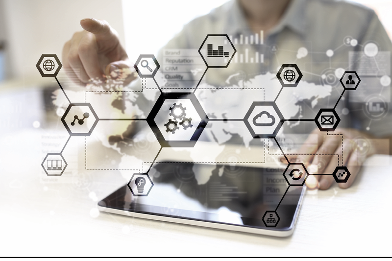 (Quelle:  Wright Studio/shutterstock)