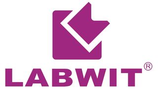 logo (Labwit)