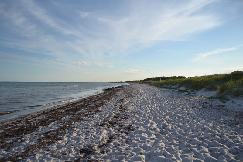 Schwedischer Strand, unendliche Weiten (Bild: Axis)
