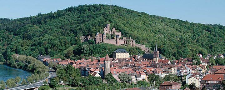 Wertheim_Panorama_3 ()