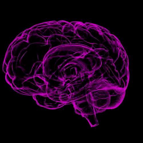 Astronauts who go to space reside in a weightless environment, where the brain's rules about gravity are no longer applicable. Astronauts who go to space reside in a weightless environment, where the brain's rules about gravity are no longer applicable.