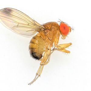 (© Foto Marc F. Schetelig)