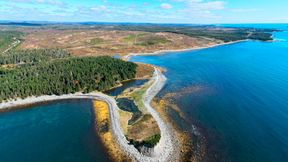 Nova Scotia (Kanada): Nova Sustainable Fuels plant hier ein integriertes Biomasse-zu-Methanol-Projekt mit einer Kapazität von über 450.000 Tonnen Bio-Methanol pro Jahr. (Bild: Nova Sustainable Fuels)