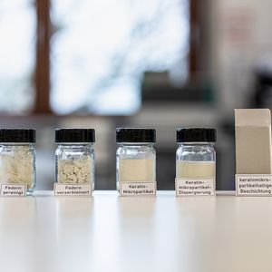 Aus gereinigten Hühnerfedern werden über mehrere Zwischenschritte Keratin-Mikropartikel hergestellt, die dann als funktionelle Füllstoffe in Beschichtungen eingesetzt werden können.
 (Bild: Fraunhofer IAP)