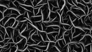 Rasterelektronenmikroskopische Aufnahme der nur wenige Nanometer dünnen Wände aus Kohlenstoff. (UDE / N. Wöhrl, S. Tigges)