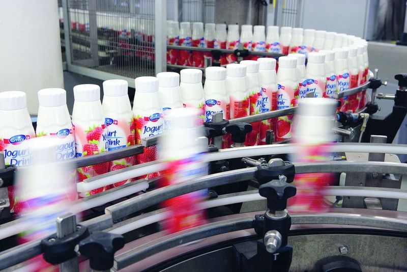 Im Jahr 2008 verarbeitete Emmi 963 Millionen Kilogramm Milch und Rahm. (Archiv: Vogel Business Media)