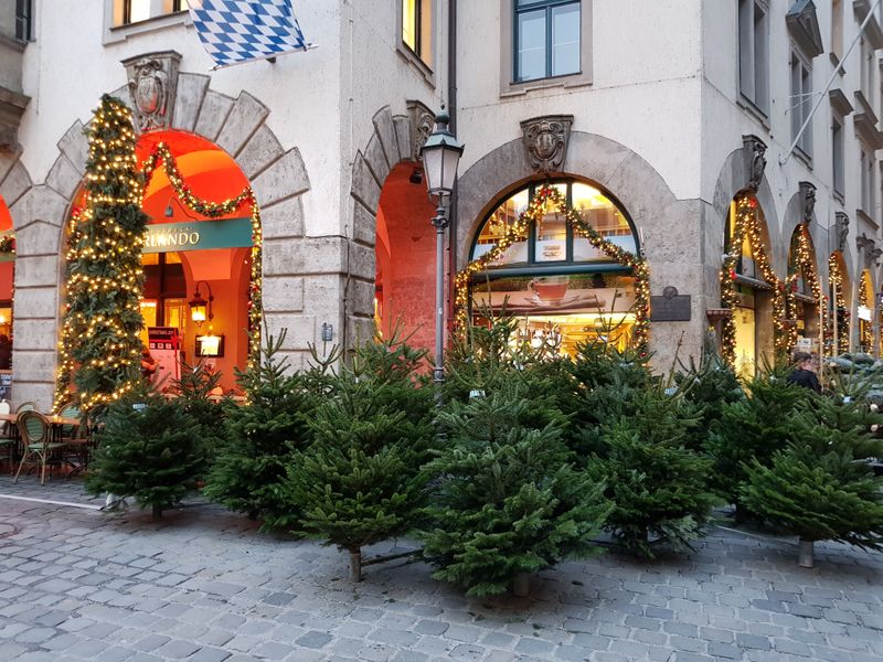 Die XMAS Bäumchen warten auf ihren neuen Besitzer. (Bild: IT-BUSINESS)