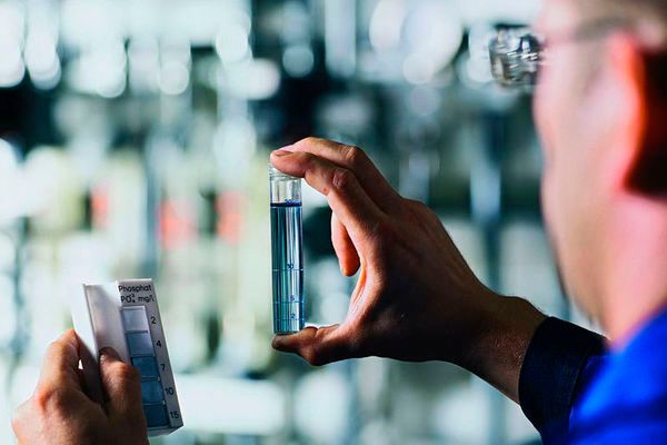 Den ersten Platz in der Branche Beratung, Agenturen, Kanzleien, Forschung und Technik belegte die Max-Planck-Gesellschaft. (Foto: Max-Planck-Gesellschaft)