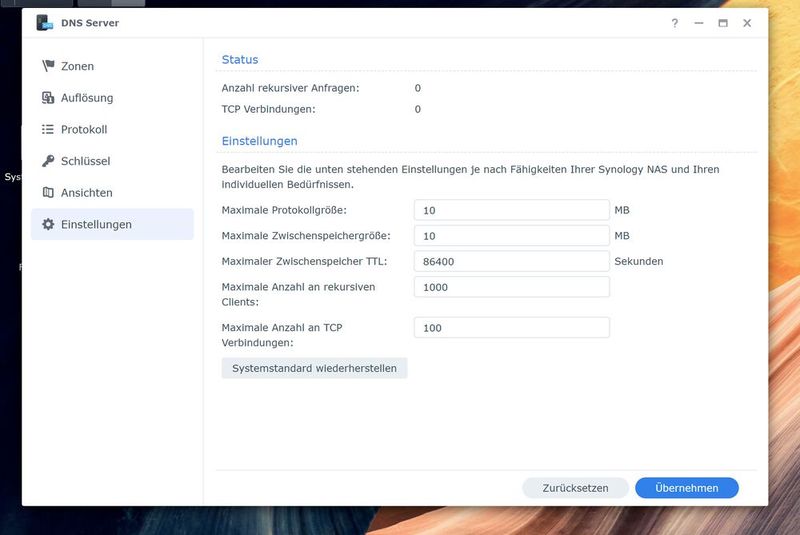 Zentrale Einstellungen des Synology DNS-Server für alle Zonen. (Bild: Joos - Synology)