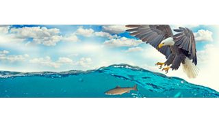 Mit der Cloud bilden sich neue Angriffsflächen für Cyberattacken, die den Einsatz modernster Sicherheitstechnologien erfordern. (© Cocoparisienne - Pixabay/CC0)