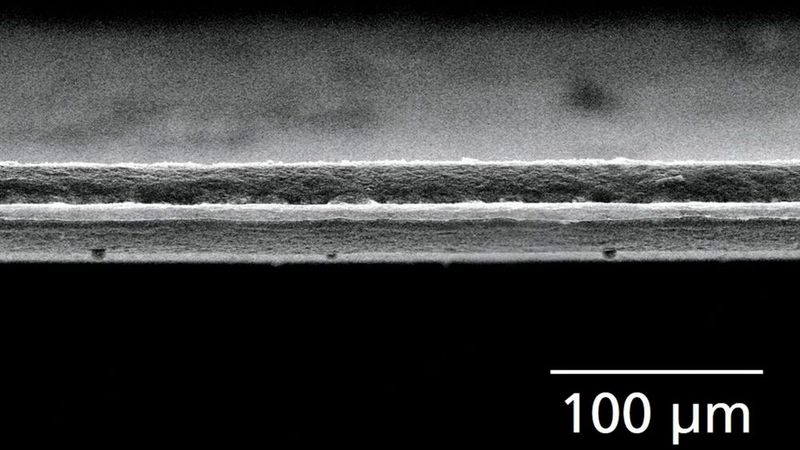 REM-Bild der Schnittflanke einer per Laser geschnittenen Lithium-Metall-Anode. Der Laserprozess erzeugt eine gleichmäßige, nahezu gratfreie Kante mit minimaler Wärmeeinflusszone und ohne mechanische Verformung des reaktiven Metalls. (Bild: Fraunhofer ILT)