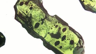 Mikroskopische Aufnahme eines Klinopyroxen-Kristalls. Dieses Mineral bildete sich in einer Magmakammer. Schmelzeinschlüsse (in schwarz) sind in diesen Kristallen vorhanden. (Bild: Corin Jorgenson, University of Strathclyde)