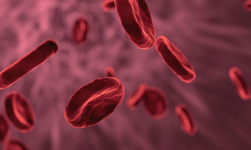 Beeinflusst die Blutgruppe das Erkrankungsrisiko an Corona? Erste Studienergebnisse sprechen dafür.