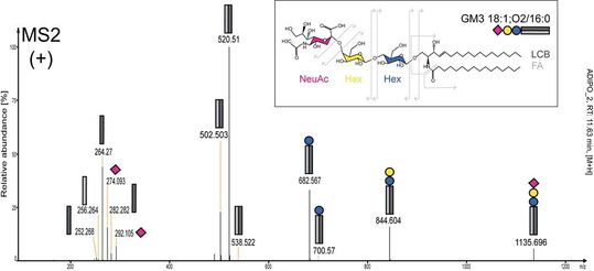 Abb. 3: Annotierungs-Beispiel: MS2-Spektrum einer Adipozyten-Probe mit zugeordneten Fragmenten, die eine eindeutige Identifizierung der Gangliosidspezies zulassen. (NeuAc = Sialinsäure, Hex = Glucose oder Galactose, können mit MS nicht unterschieden werden, LCB = long chain base, FA = fatty acid).(Bild:  Universiät Wien; Adaptiert aus Hohenwallner et al., 2022 [4])