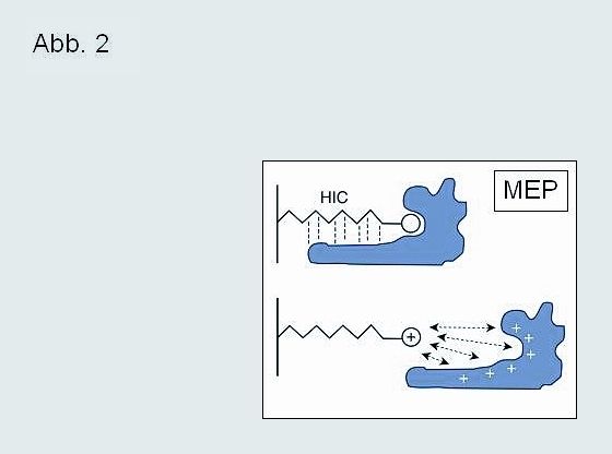 Abbildung 2: MEP HyperCel (pKa 4,8) liegt unter den empfohlenen Beladungsbedingungen (PBS, pH 7,4) in nicht ionisiertem Zustand vor. Die Senkung des pH-Werts bewirkt eine Ladungsinduktion auf dem Sorbens und eine Verstärkung der Proteinladung. (Archiv: Vogel Business Media)