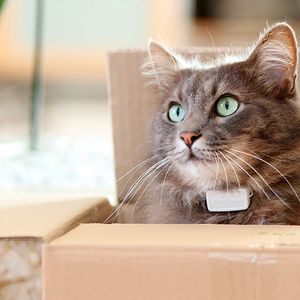 (Proto Labs/marion-grethler.de)