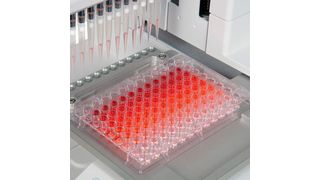 Automatisierung einer Verdünnungsreihe mit einer 96-Well-Platte und dem Viaflo Assist (Bild: Integra)