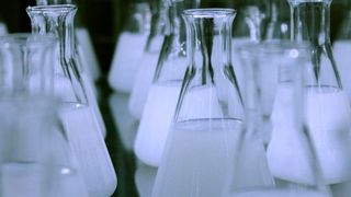 Forscher entwickeln im Projekt „Lignoplast“ Verfahren und Anwendungsmöglichkeiten für verschiedene Lignintypen bis zum Pilotmaßstab  (gemeinfrei)