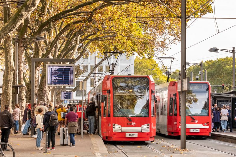 Im vergangenen Jahr haben deutlich mehr Menschen Busse und Bahnen im Nah- und Fernverkehr genutzt.(Bild:  Christoph Seelbach/Kölner Verkehrs-Betriebe AG)