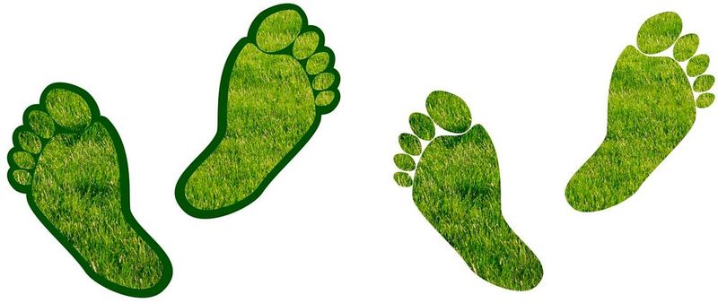 We present four solutions for calculating the Product Carbon Footprint.(Image: freely licensed /  Pixabay)