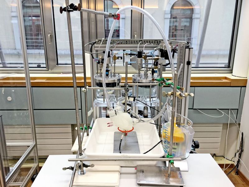 Ob dieses Kunstherz auch funktioniert, wurde bereits getestet. Die Forscher konnten beweisen, dass das weiche Kunstherz grundsätzlich funktioniert und sich sehr ähnlich bewegt wie das menschliche Pendant. (Zurich Heart)