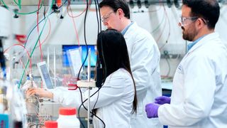 Ein neuartiger Palladium-Katalysator kann dazu beitragen, kostspielige „Umwege“ bei organischen Synthesen zu vermeiden. (Symbolbild) (gemeinfrei)