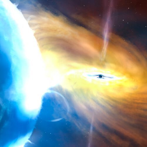An artist’s impression of the Cygnus X-1 system, with the black hole appearing in the center and its companion star on the left. An artist’s impression of the Cygnus X-1 system, with the black hole appearing in the center and its companion star on the left.