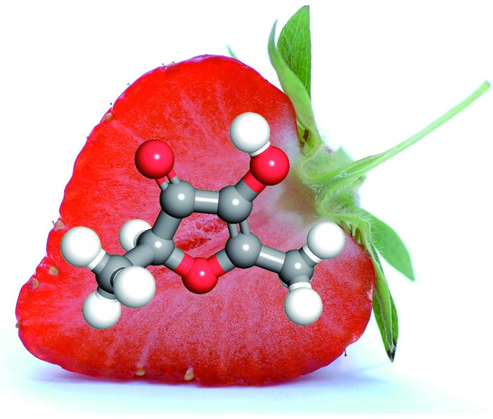 Abb. 1: 4-Hydroxy-2,5-dimethyl-3(2H)-furanon (HDMF, Furaneol) ist ein Schlüsselaromastoff der Erdbeerfrucht. (Bild: W. Schwab/TUM)