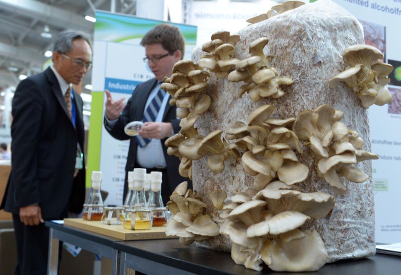 Industrial Green Tec: Internationale Leitmesse für Umwelttechnologien. (Deutsche Messe)