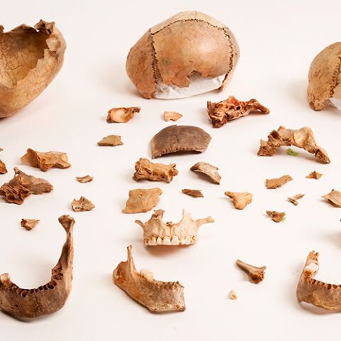 Ancient DNA reveals that recolonisation of Britain consisted of at least two groups with distinct origins and cultures. Ancient DNA reveals that recolonisation of Britain consisted of at least two groups with distinct origins and cultures.