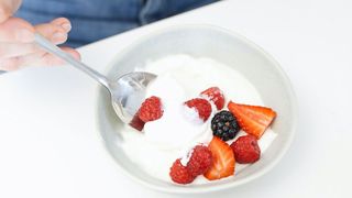 Probiotic microbes like Prevotella influence the gut in a way that improves brain health.  (Source: free licensed)