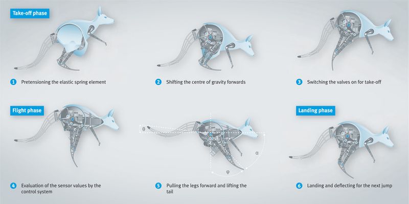Intelligentes Zusammenspiel der verbauten Komponenten für ein stabiles und effizientes Springen. (Festo)
