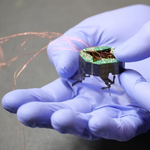 Clari weighs less than a Ping Pong ball, and several can fit in the palm of your hand. Clari weighs less than a Ping Pong ball, and several can fit in the palm of your hand.