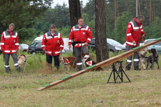 Zeigten ihr Können:  die DRK-Rettungshundestaffel Havelland. (Foto: Innung)