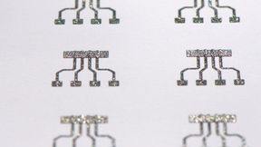 Nachhaltige Datenerfassung! Was man hier sieht, sind Magnetfeldsensoren. Die sind aber nicht auf üblichem Weg entstanden, sondern kommen aus dem Drucker. Am Helmholtz-Zentrum Dresden-Rosdorf weiß man, wie das geht. Nicht zuletzt seien sie auch noch recycelbar ... (Bild: Lin Guo)