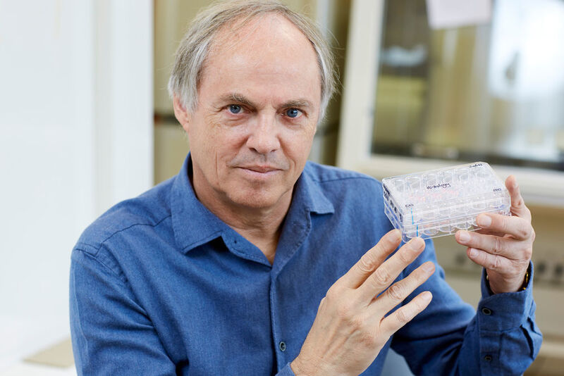 Nominiert in der Kategorie „Forschung“ ist der niederländische Molekulargenetiker Hans Clevers mit seinen im Labor gezüchteten menschlichen Organen im Kleinformat, die sichere Medikamententests außerhalb des Körpers ermöglichen. (epo)