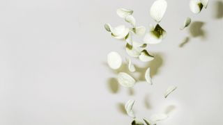 adobestock-69100444-2516x1415v1 (Bild: beogue – stock.adobe.com)