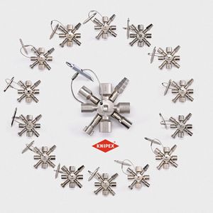 (Aktion Plagiarius e.V.)