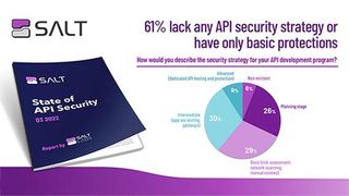 61 Prozent der von Salt Security Befragten gaben an, nicht über eine API-Sicherheitsstrategie zu verfügen bzw. nur einen Basisschutz zu haben. (Bild: Salt Security)