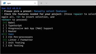 Anlegen eines Projekts mit Vuex-Feature. (Bild: Dr. Koller / Microsoft)