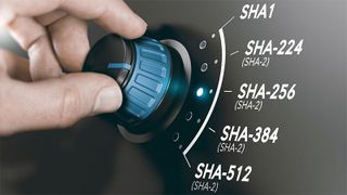 Viele Active-Directory-Zertifikatsdienste nutzen noch SHA-1. Höchste Zeit also, jetzt auf SHA-2 und eine neue Certification Authority umzustellen. (Bild: © Olivier Le Moal - stock.adobe.com)