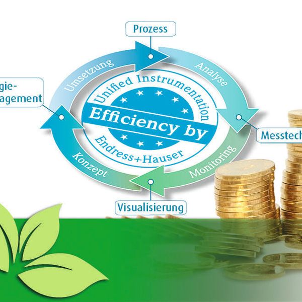 Endress+Hauser hat einen fünfstufigen Energiemanagement-Prozess entwickelt, der helfen soll, Energiekosten zu ermitteln und dauerhaft zu senken. (Bild: Endress+Hauser/Fotolia; [M]-Frank)
