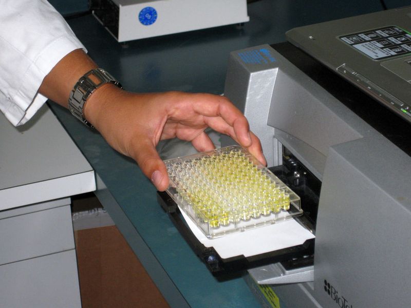 Mikrotiterplatte mit dem Diclofenac-Test im Labor des Instituts für Wasserchemie der TU München. Je blasser die Farbe, desto mehr Diclofenac befand sich in der Probe.  (Bild: Andreas Battenberg)