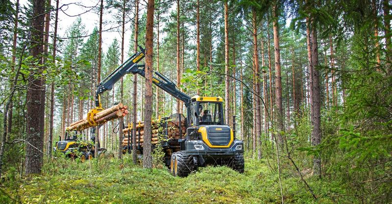 Der finnische Forstmaschinenhersteller Ponsse deckt alle Größenkategorien von Forstmaschinen ab, von der ersten Durchforstung und der Gewinnung von Waldenergie bis hin zum schweren Verjüngungsholzeinschlag, sowie alle Einschlagsorte, von weichen Böden bis hin zu steilen Hängen. (Bild:  Lapp)