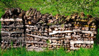 Das Molekül „γ-Valerolacton“ (GVL) lässt sich leicht aus den Hauptbestandteilen von Pflanzen (z. B. Cellulose) gewinnen. (Symbolbild) (Bild: gemeinfrei)