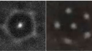 Simulierte Modelle von jeweils sechs Skyrmionen bei unterschiedlichen Magnetfeldstärken.  (Forschungszentrum Jülich)