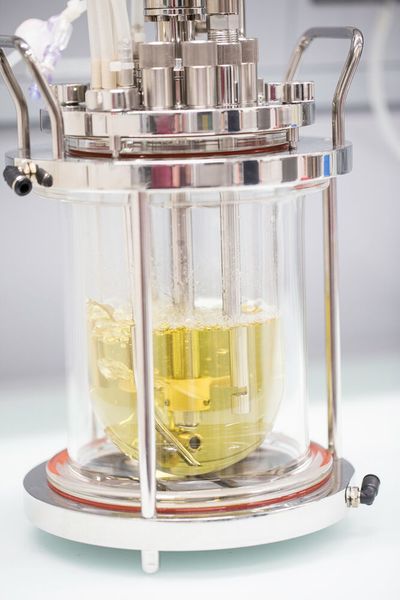 Dencytee Arc allows real-time total cell density measurement from 0 up to 200 gL with +- 1 % accuracy. (Hamilton Bonaduz)